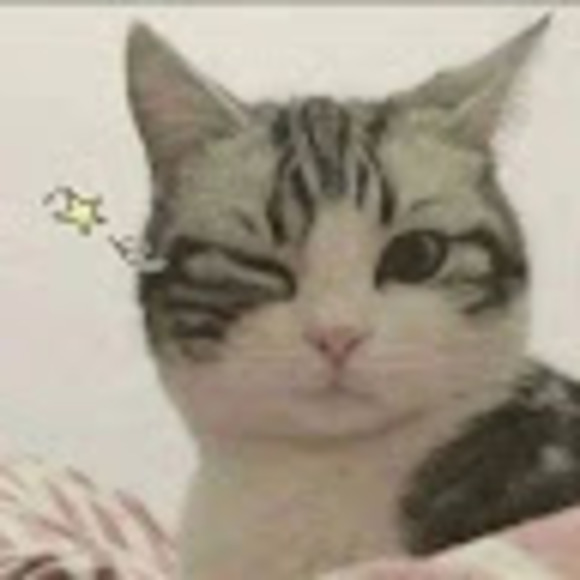 Meet your Posher, Messy - Picture 1 of 1